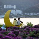 지세포로 이미지