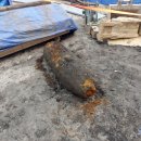 포천초교 이미지