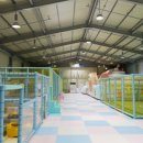 킹덤키즈 이미지