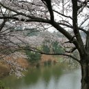 울산컨트리클럽 이미지