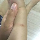 천연 버블샵 비누