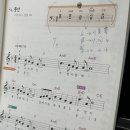 신월동231 이미지