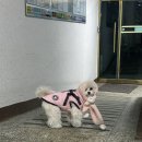 진미보리밥 | 동두천에 가면 니지모리도 있고 진미보리밥도 있고