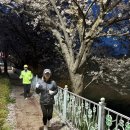 북부천변 이미지