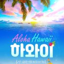 살롱하와이 이미지