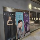 루니아의원 이미지