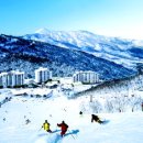 곤지암리조트 이미지