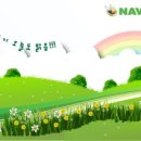 (주)디자인 맑음