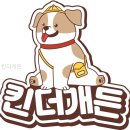 킨더개든 | 킨더개든 다양한 프로그램의 장점