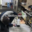 벅스코 이미지