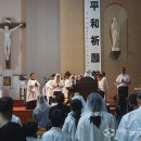 26/08/09 원폭 81주년 평화기원미사 봉헌 이미지