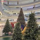 클래식음악과 함께하는 힐링여행 이미지