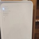 하이복싱체육관 이미지