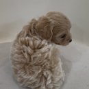 아이프라자(시흥아이프라자) 이미지