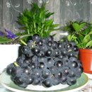 유명산주유소 이미지