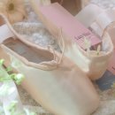 엘리스 성인용품 이미지