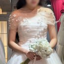 정우장식 - 제주시 용담로 134 | [👗10] ST정우 스튜디오 촬영날 드레스 후기｜꽃장식 튤 볼레로와 풍성 쉬폰 캉캉 드레스 촬영 후기
