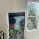 강남대로 505 고도일병원 앞 횡단보도 | 부겐빌리아 스튜디오 촬영 후기｜최종 선택 이유 &amp; 상품 구성 총정리