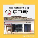 풍산태사로(서후면) | 안동 &#34;도그락&#34;애견펜션 독채 다녀왔어요~!! 내돈내산
