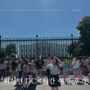 일상] 워싱턴 DC 당일치기 4시간 여행후기 with 사촌오빠 | 백악관 맛집 Old Ebbitt Grill 추천 메뉴...