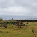 우도사랑민박 이미지