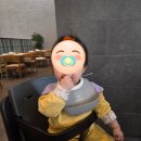 북항동 김밥매니아 옆 | 롯데리조트 속초 조식 뷔페 맛집 마키노차야 아기랑 후기