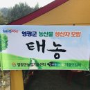 태농농장 네이버블로그