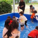 창포초 병설유치원 이미지