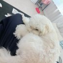 탄현 네일 유니크한 이달의 아트 후기 이아네일스튜디오 일산 탄현점