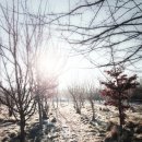 월드컵신발 이미지