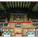 창원 성흥사 목조석가여래삼존좌상 및 십육나한상 일괄 이미지