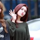 뽀뽀솜 이미지