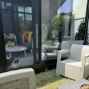 악어 스크린 골프 이미지