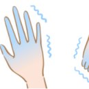 수족발 이미지