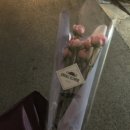 다애기획 이미지