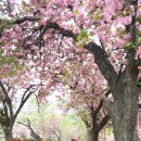 월곡역사공원 이미지