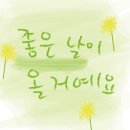 마르멜로 이미지