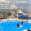 세종파크목욕탕 | 천안 상록 아쿠아피아 워터파크 이용후기 운영일정 준비물 푸드코트 할인혜택 정보 공유
