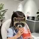 달다곰이부천상동점 이미지