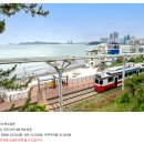 서부산생태투어 | 부산 모녀여행 2박3일, 뚜벅이로도 충분했던 이유 (하늘투어 패키지 후기)