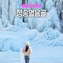 청송실내체육관 | 경북 겨울 가볼만한곳 청송 얼음골 빙벽 카페 폭포 총정리