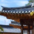 샌유리따