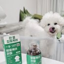 헬로멍뭉 이미지