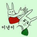 씨빌리지 이미지