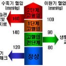 고혈압 이미지