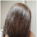 블루워터클리닉 | 헤어클리닉 물미역 광채 무실리콘 약산성 오알라 헤어 &amp; 스칼프 앰플 트리트먼트