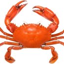 미래푸드 이미지