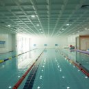 넘버원수영이야기 이미지