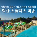 덕산버스터미널 | 겨울 온천 여행지 덕산 스플라스 리솜 워터파크 꿀팁 총정리