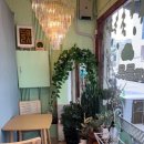 카페돌옷 이미지